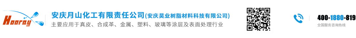 安慶月山化工有限責任公司